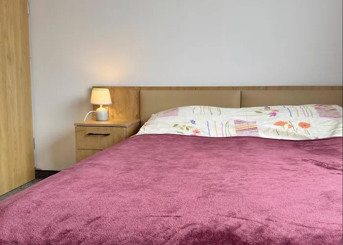 Pensionat Gosciniec Nad Zlota Rybka 3*